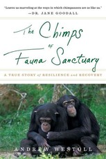 The Chimps of Fauna Sanctuary