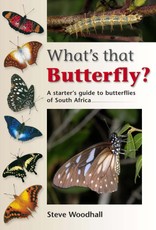 What's that Butterfly?