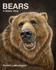 Bears