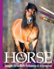Horse and Mule Images for Artist's Reference and Inspiration