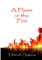 A Flame in the Fire