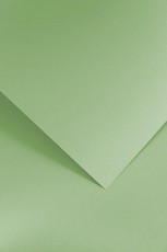 Dekoratyvinis popierius GLADKI A4 šv žalias 210g 20lap