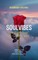 SoulVibes