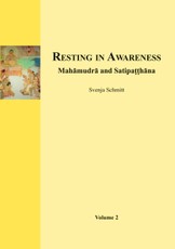 Resting in Awareness (Volume 2)