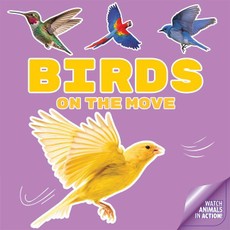 Birds on the Move