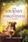 The Journey to Forgiveness
