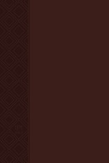 The Passion Translation New Testament (2020 Edition) Brown