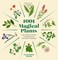 Eason, C: 1001 Magical Plants