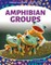 Amphibian Groups