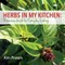 Herbs in My Kitchen: Reference Guide for Everyday Cooking