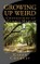 Growing Up Weird: Confessions of a Closet Medium