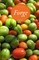Forge 11.2