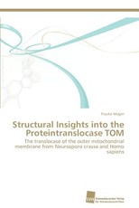 Structural Insights into the Proteintranslocase TOM