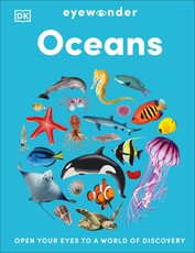 Eyewonder Ocean