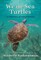 We the Sea Turtles