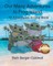 Our Many Adventures to Frog Island