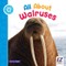All about Walruses