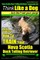 Nova Scotia Duck Tolling Retriever Training AAA AKC
