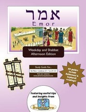 Bar/Bat Mitzvah Survival Guides