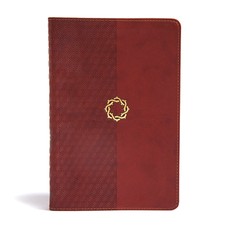 CSB Essential Teen Study Bible, Walnut Leathertouch