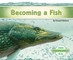 Becoming a Fish