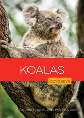 Koalas