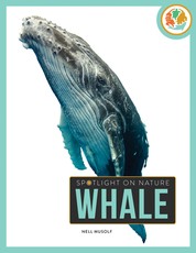 Whale