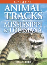 Animal Tracks of Mississippi & Louisiana