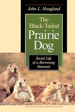 The Black-Tailed Prairie Dog