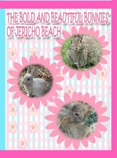 The Bold and Beautiful Bunnies of Jericho Beach