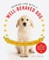 Imagine Life with a Well-Behaved Dog