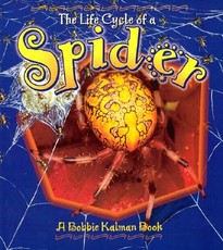 Spider