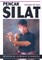 Pencak Silat