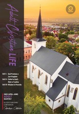Adult Christian Life
