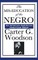 The MIS-Education of the Negro