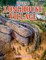 Life in a Longhouse Village