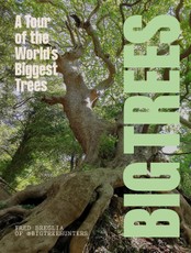 BIG TREES