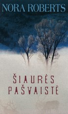 Šiaurės pašvaistė