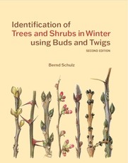 Identification of Trees & Shrubs in Winter Using Buds and Twigs