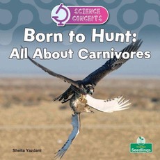 Born to Hunt: All about Carnivores