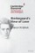 Kierkegaard's View of Love