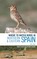 Where to Watch Birds in Northern and Eastern Spain