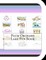Plum Orchard Lake Fun Book