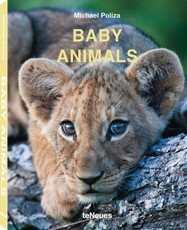 Baby Animals