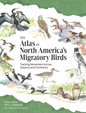 The Atlas of North America's Migratory Birds