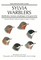 Sylvia Warblers