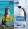 Galapagos Penguin or Emperor Penguin (Wild World)