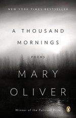 A Thousand Mornings