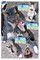 Cat Tosha Adventures