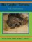 The Gopher Tortoise